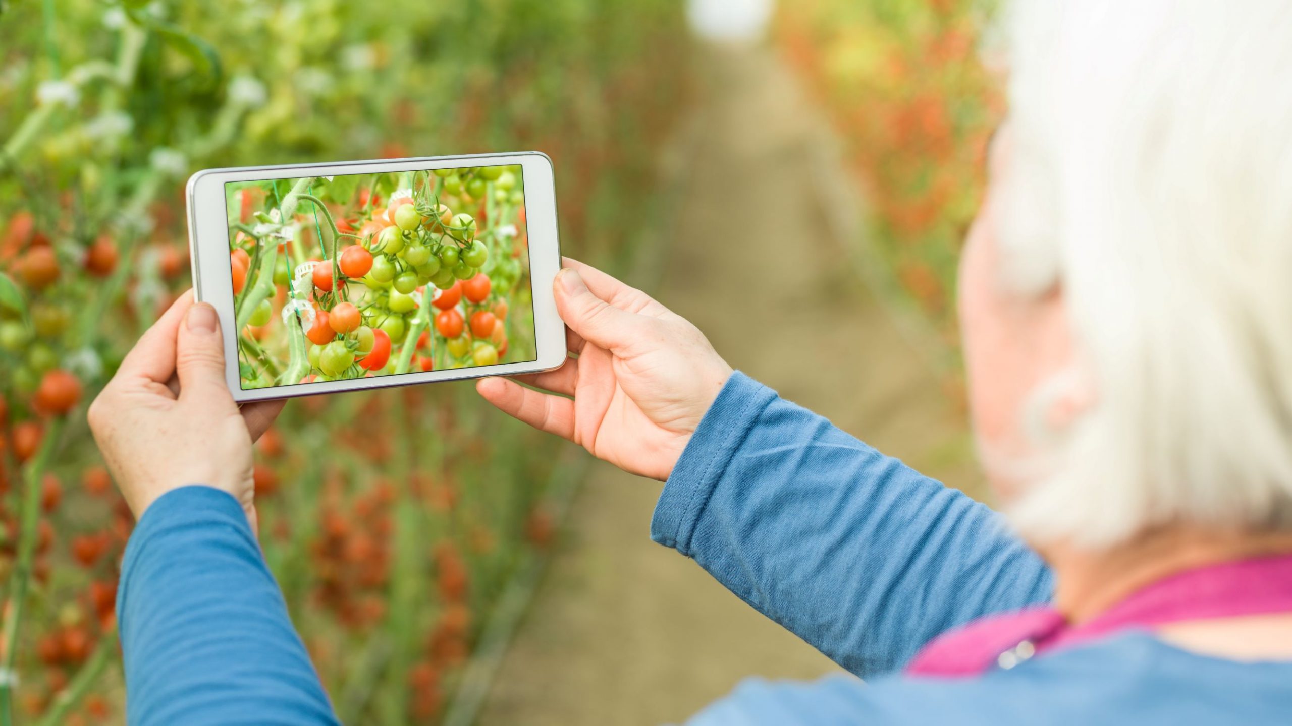 Centrum Grundlægger Talje Få ny viden om planterne i haven med smart app