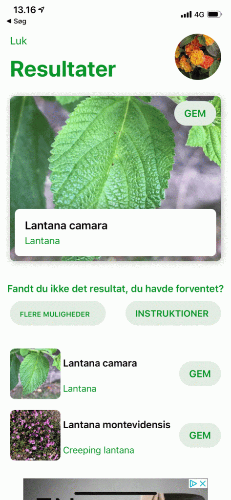 Centrum Grundlægger Talje Få ny viden om planterne i haven med smart app