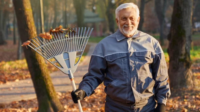 En ældre mand i grå jakke og handsker smiler, mens han holder en rive med blade i en park om efteråret og omfavner sin havn i november. Nedfaldne blade dækker jorden, og man kan se træer i baggrunden.