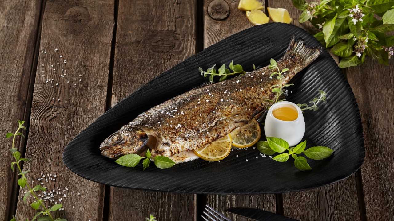 Accepteret Raffinere siv Skøn sommeraften med fisk: Grillet ørred