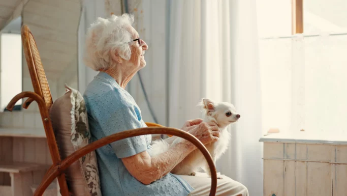 En ældre kvinde med hvidt hår sidder i en træstol ved et vindue og holder blidt en lille hvid hund på skødet. Sollyset strømmer ind gennem de gennemsigtige gardiner og afspejler den rolige og fredelige atmosfære, der ofte findes i Danmark og er knyttet til danskernes sundhed.