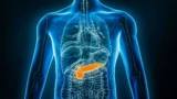 Digital illustration af en menneskelig torso, hvor de indre organer er synlige, med bugspytkirtlen fremhævet i orange for at vise dens placering i bughulen – et område, der ofte forbindes med dødelig kræft. Resten af kroppen er afbildet i blå nuancer med en gennemsigtig effekt.