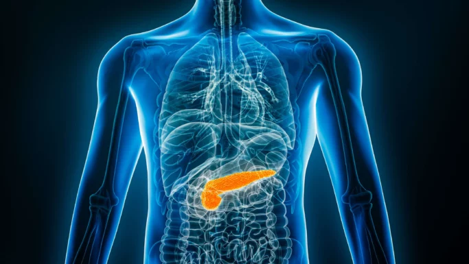 Digital illustration af en menneskelig torso, hvor de indre organer er synlige, med bugspytkirtlen fremhævet i orange for at vise dens placering i bughulen – et område, der ofte forbindes med dødelig kræft. Resten af kroppen er afbildet i blå nuancer med en gennemsigtig effekt.