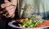 En person, der holder en gaffel med spirer over en tallerken med frisk salat, herunder salatblade, tomat, strimlet rødkål og gul peberfrugt – vær opmærksom på risikoen for salmonella, når du spiser rå spirer.