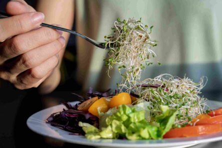 En person, der holder en gaffel med spirer over en tallerken med frisk salat, herunder salatblade, tomat, strimlet rødkål og gul peberfrugt – vær opmærksom på risikoen for salmonella, når du spiser rå spirer.