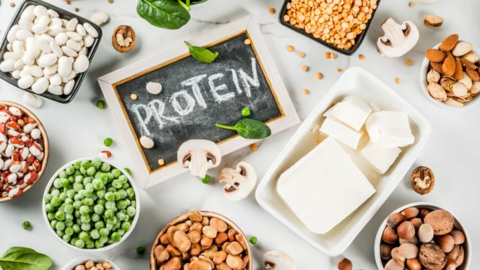 Forskellige plantebaserede proteinkilder, såsom bønner, tofu, ærter, nødder og frø, omgiver en tavle, hvor der står »PROTEIN«. Spredte svampe og spinat fuldender kompositionen – en opstilling, som selv en aldringsforsker ville sætte pris på for dens næringsrige fordele, der er anrettet i indbydende bakker.