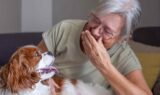 En smilende ældre kvinde med briller griner, mens hun klapper sin Cavalier King Charles Spaniel, og billedet indfanger det særlige bånd mellem hund og menneske.