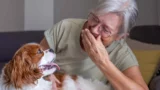 En smilende ældre kvinde med briller griner, mens hun klapper sin Cavalier King Charles Spaniel, og billedet indfanger det særlige bånd mellem hund og menneske.