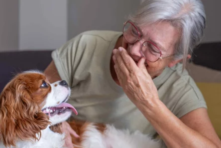 En smilende ældre kvinde med briller griner, mens hun klapper sin Cavalier King Charles Spaniel, og billedet indfanger det særlige bånd mellem hund og menneske.