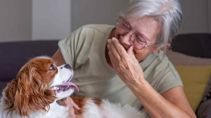 En smilende ældre kvinde med briller griner, mens hun klapper sin Cavalier King Charles Spaniel, og billedet indfanger det særlige bånd mellem hund og menneske.