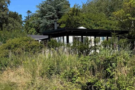 Et moderne hus med gulv-til-loft-vinduer, der ligger midt i et skovområde – en ejendom, der muligvis er berettiget til ejendomsskattelån.
