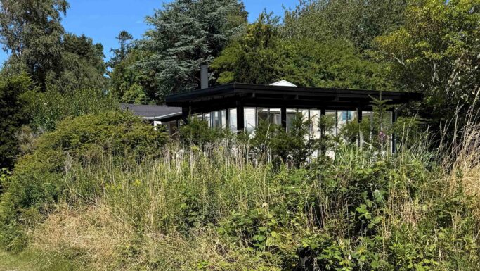 Et moderne hus med gulv-til-loft-vinduer, der ligger midt i et skovområde – en ejendom, der muligvis er berettiget til ejendomsskattelån.